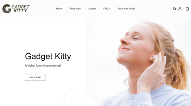 Gadget Kitty - Shopify Dropshipping Store