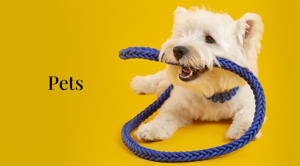 Pets Shopify Dropshipping Stores